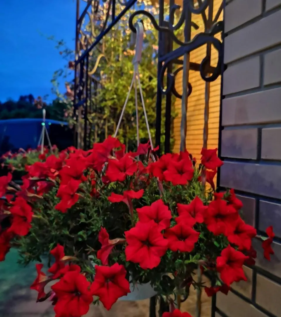 Motel Гостинично-Банный Комплекс Орхидея Ukraine